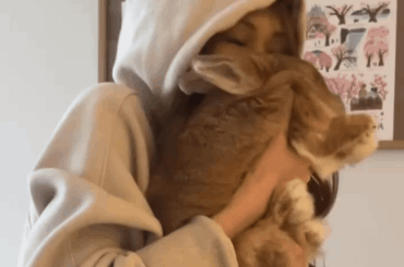 WITHIN 3s… 11 sniffs were SNUFFED before departure.