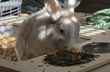 kurt wants to remind you all to have your morning veggies !