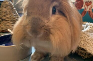 Walt's "Im ready to eat" face