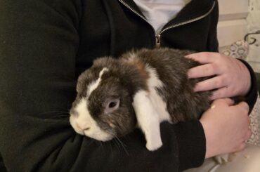 Ture wanted cuddles:3