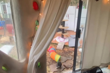 Nacho had a fun morning!