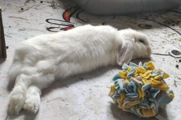 She is costplaying as a fish😂