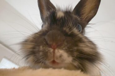 Finance Bros Buying Up Clinics