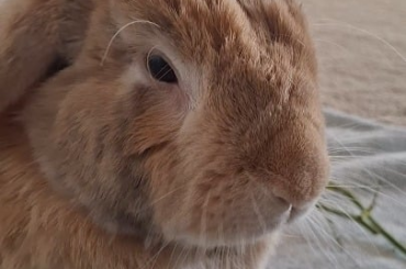 Breakfast is the most important meal of the day!