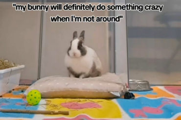 she's just chilling yk