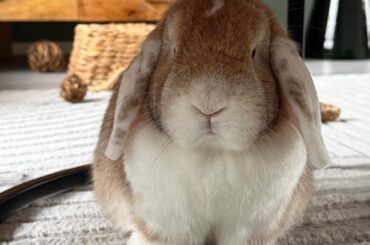 Had to say goodbye today