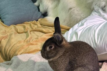 Give it to me straight..