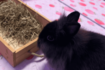 My baby visits my room today