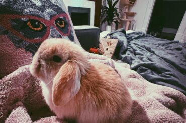 Sweet girl needs a name!