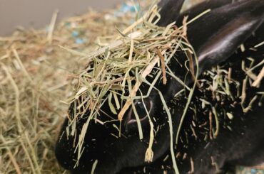 Camo Queen working on her ghillie suit