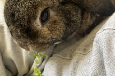 How do you get anything done!?!