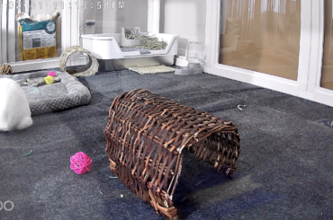 Not sure what he wants