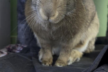 She talks to me in teeth chatters