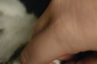 Bunny is happy when cuddled with me