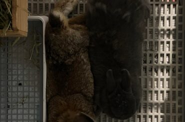 my 3 year old and 4 month old are now the same size