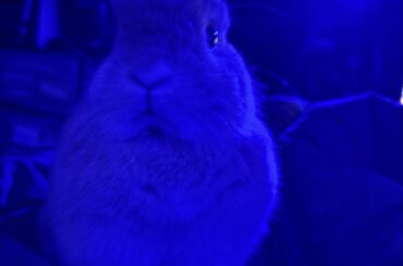 POV: It’s 3 AM and you feel a presence