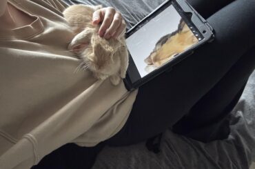 An update for those who responded to my drawing post - Chief drawing inspector is assisting me to work my way through the posts!