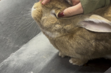 Ooh yeah that’s the spot