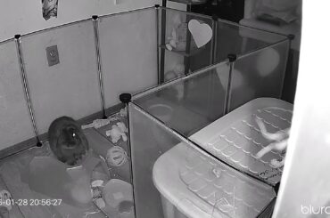 Blueberry you evil spawn