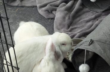 Sometimes Plip wants to snack and snuggle with Blip at the same time