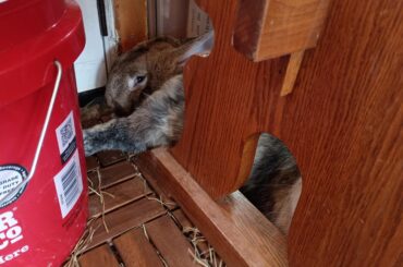 What even is this position