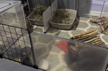 Help me analyze this interaction