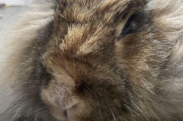 Anyone else get an evil eye stare?!