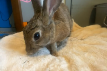 Instant flop 😆😆