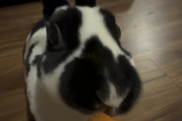 Munchin n crunchin💖