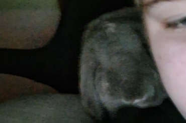 My bun might secretly be a parrot