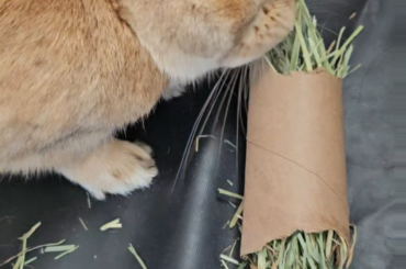 He's such a cute boy!