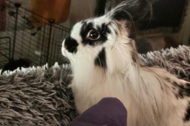 Turned on Insane Clown Posse and he got scared