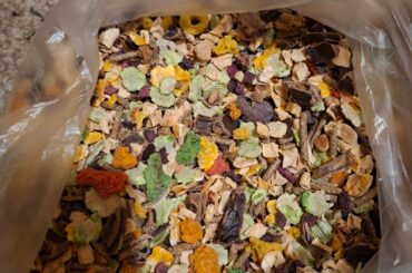 What kind of feed is this? Is it safe to eat for my bunny?