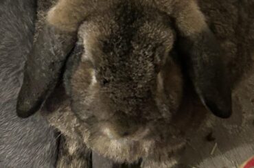 “Yeah so I’m just gonna step on my Bun-Wife’s head” - Barry