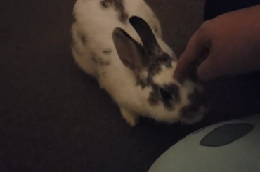 She just let's me do stuff like this lmao