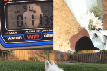 Made a gift for my sweet cousin 😊 and matched it with a custom bouquet.