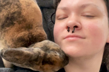 Finnegan decides that dad is having a spa day. thanks, buddy.