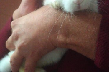 Second Night Without Him