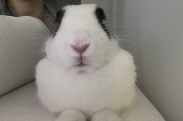 i love my baby so much 🐰❤️