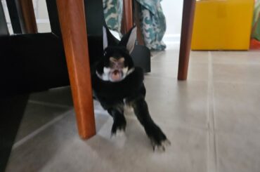 Can anyone but a mother love this face?