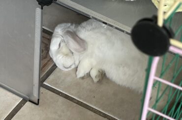 Options for flooring on play pen