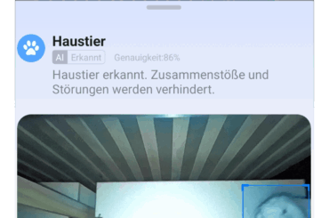 Ziggy being shook because of the roomba 😂