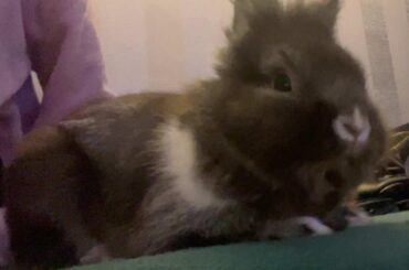 Bby is mad after getting his nails trimmed