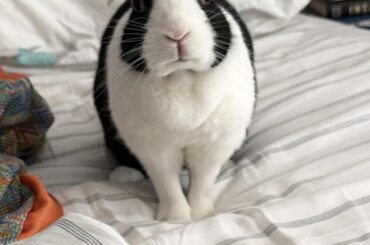 UPDATE: what is happening