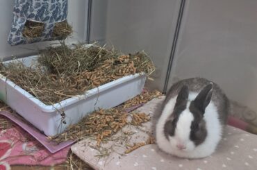 nahh why is she looking at me like I did it??