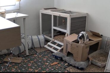 How do I improve his space?