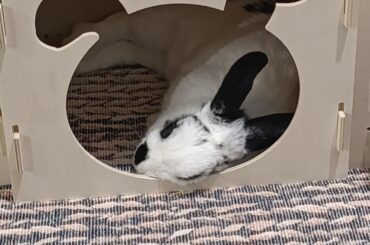 The small 'click' sound from the camera woke her up and now I feel bad 😭