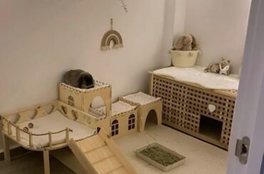 bunny enclosure DIY tips?