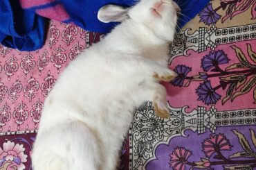 Peace fully sleeping