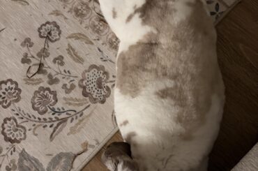 Is he scared???? He’s shaking so hard